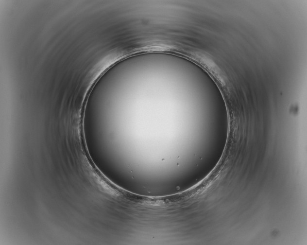 X0000097641186200803071546