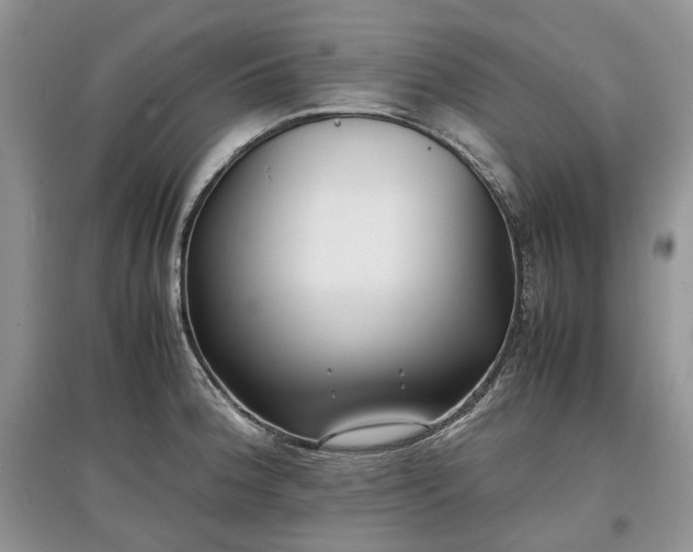 X0000097641188200803071546