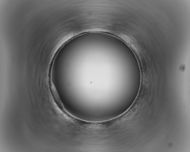 X0000097641189200803071546