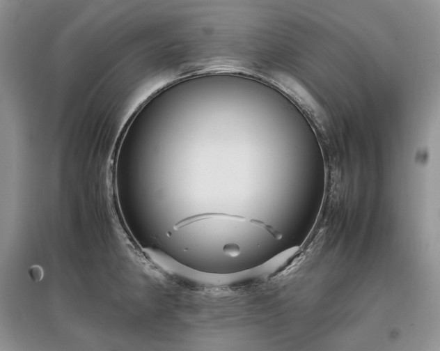 X0000097641190200803071546