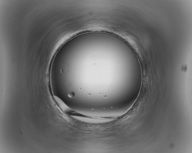 X0000097641191200803071546