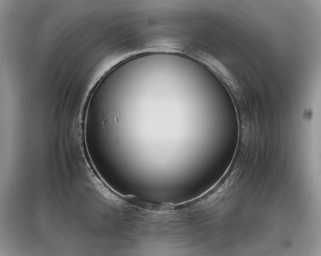 X0000097641192200803071546