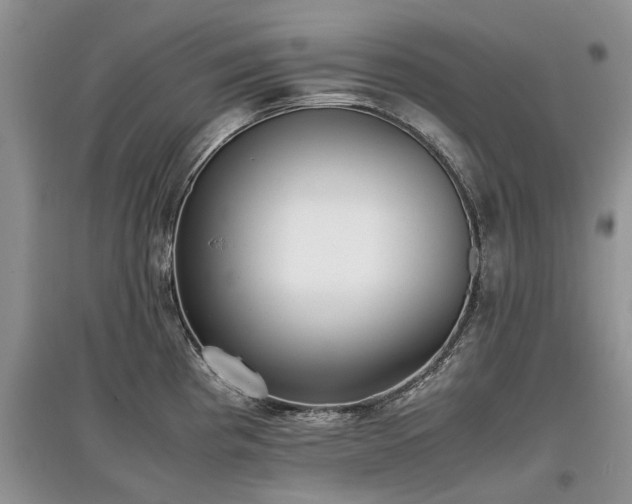 X0000097641193200803071546