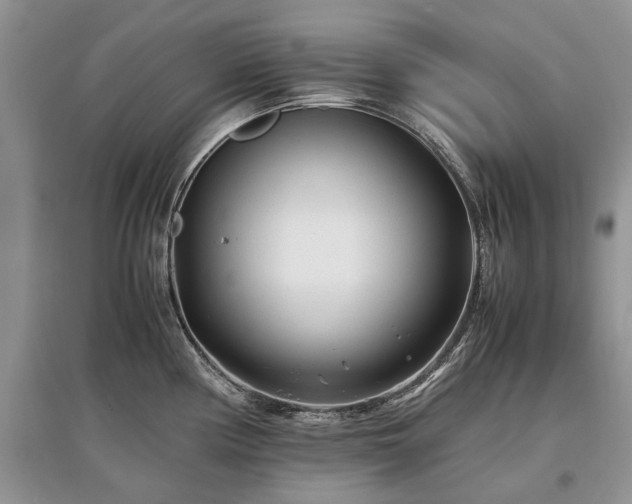 X0000097641194200803071546