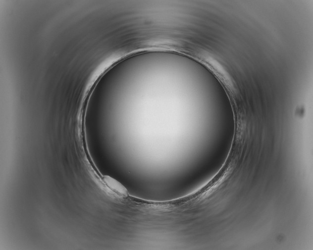 X0000097641196200803071546