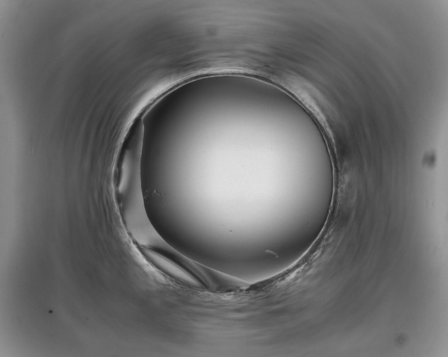 X0000097641197200803071546