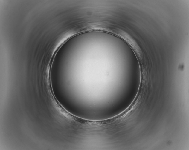 X0000097641198200803071546