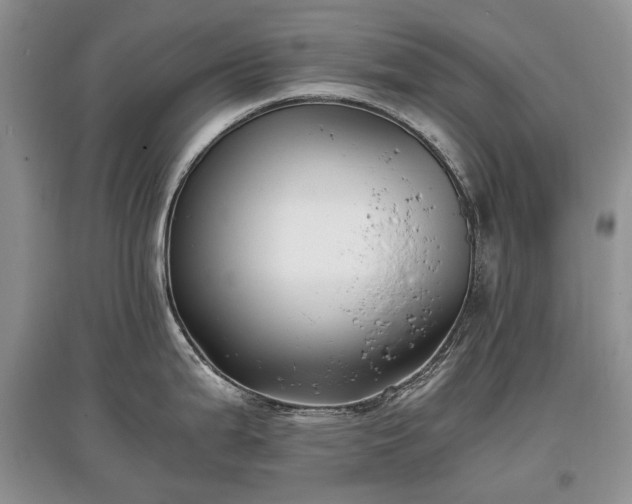 X0000097641199200803071546