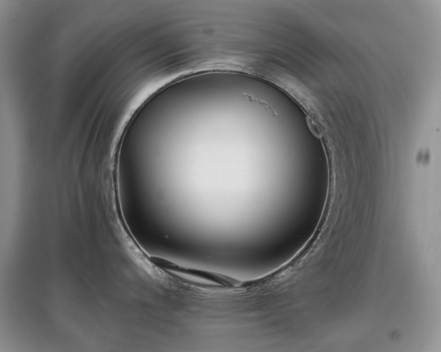 X0000097641200200803071546