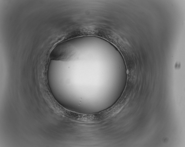 X0000097641201200803071545