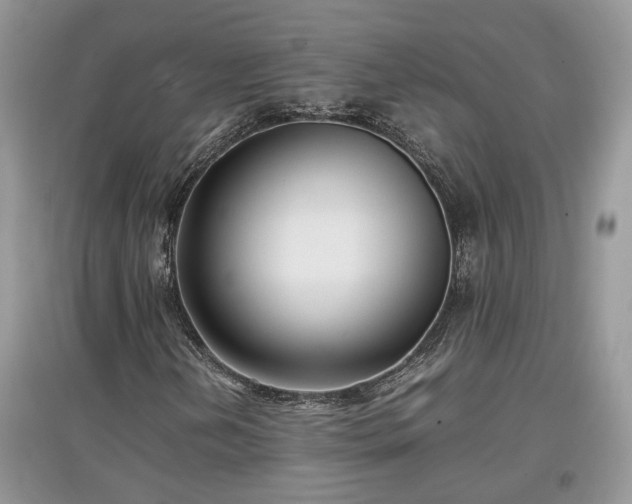 X0000097641202200803071545