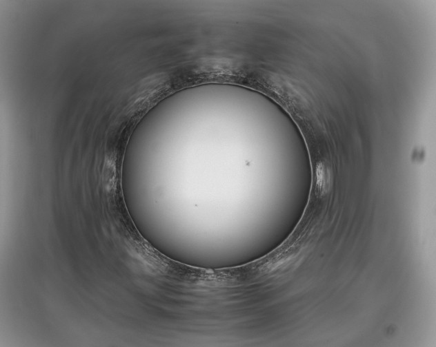 X0000097641203200803071545