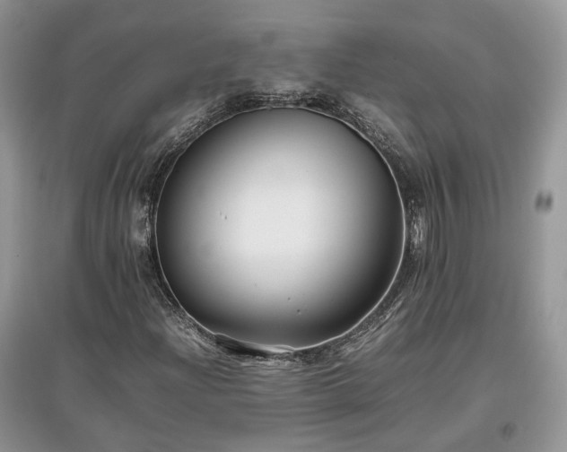 X0000097641204200803071545