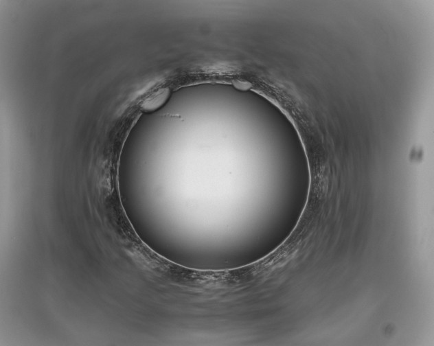 X0000097641205200803071545