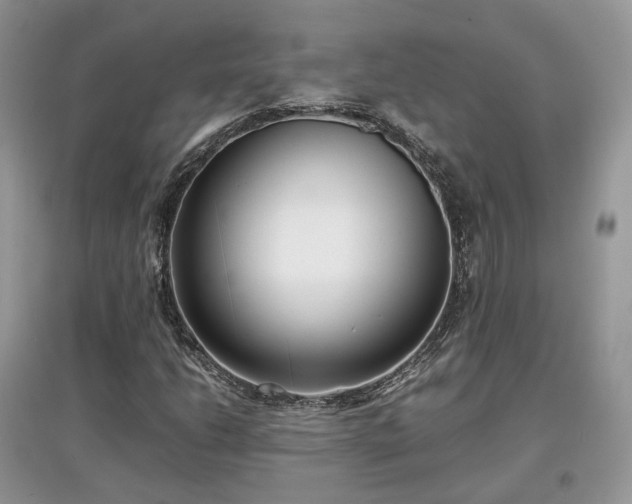 X0000097641206200803071545