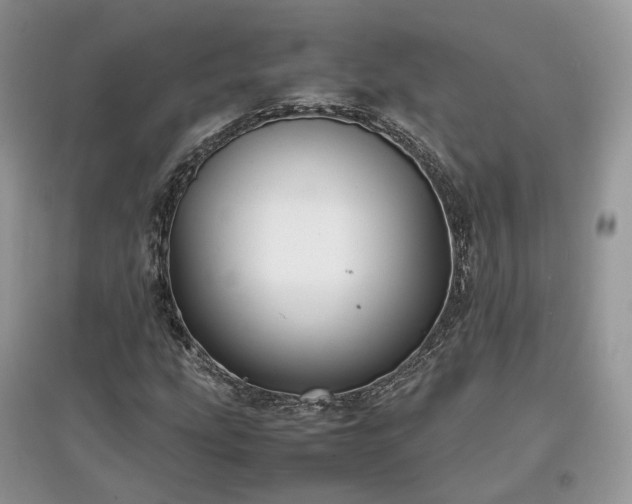 X0000097641207200803071545