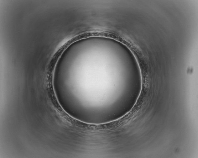 X0000097641208200803071545