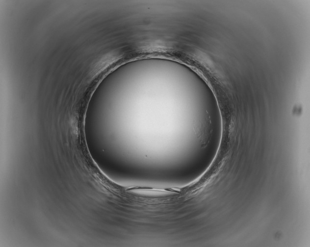 X0000097641209200803071545