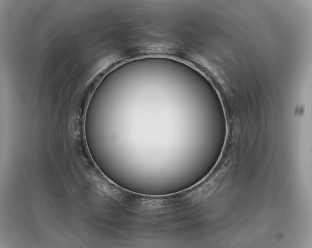 X0000097641211200803071545