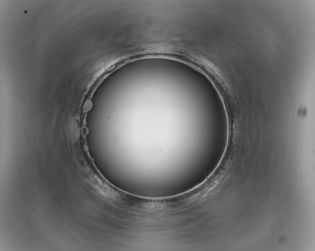 X0000097641212200803071545