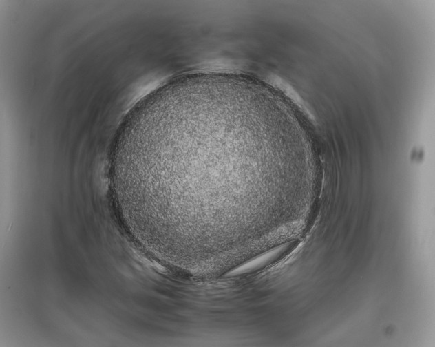 X0000097641213200803071546