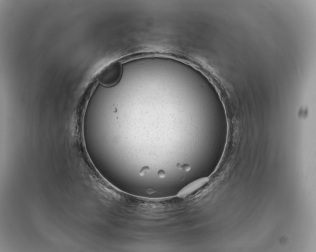 X0000097641215200803071546