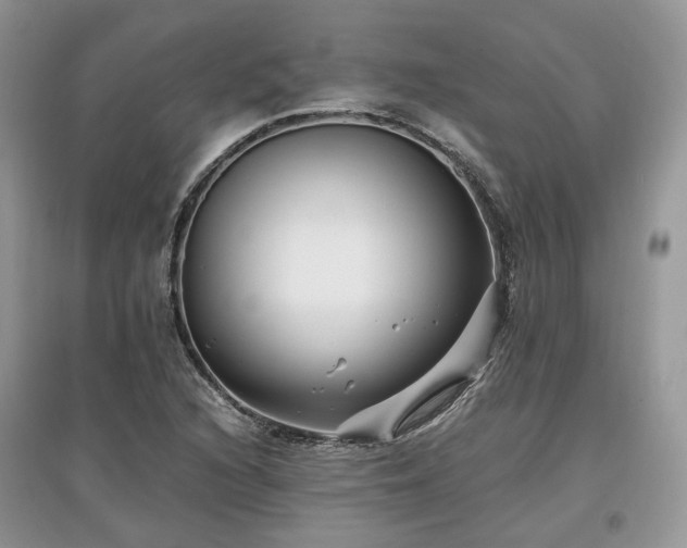 X0000097641216200803071546