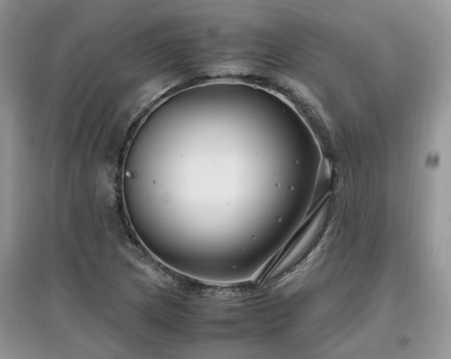 X0000097641217200803071546