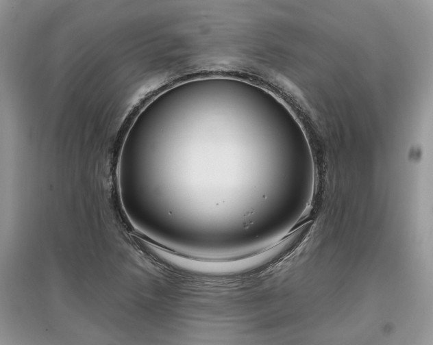 X0000097641218200803071546