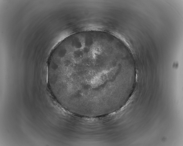 X0000097641219200803071546