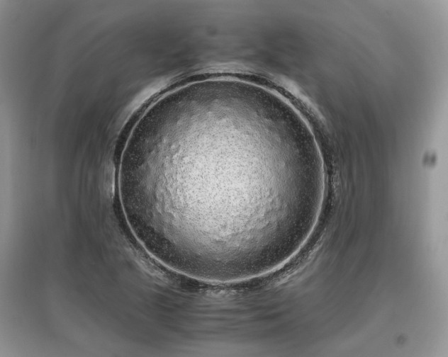 X0000097641221200803071546