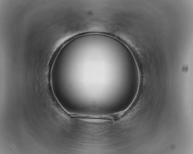 X0000097641222200803071546