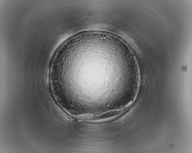 X0000097641224200803071546