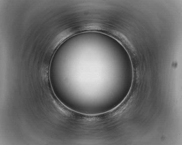 X0000097641225200803071546