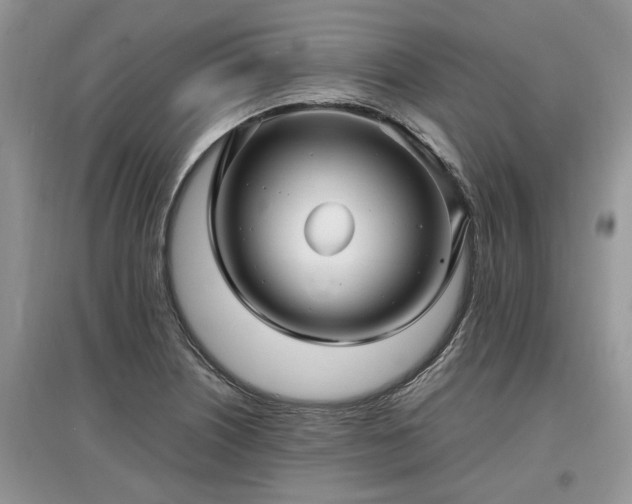 X0000097641226200803071546