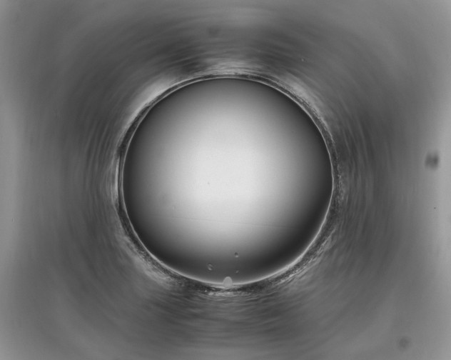 X0000097641227200803071546