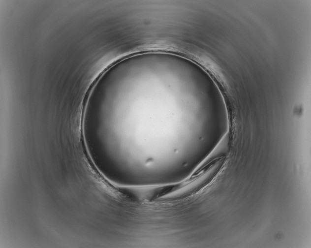 X0000097641228200803071546