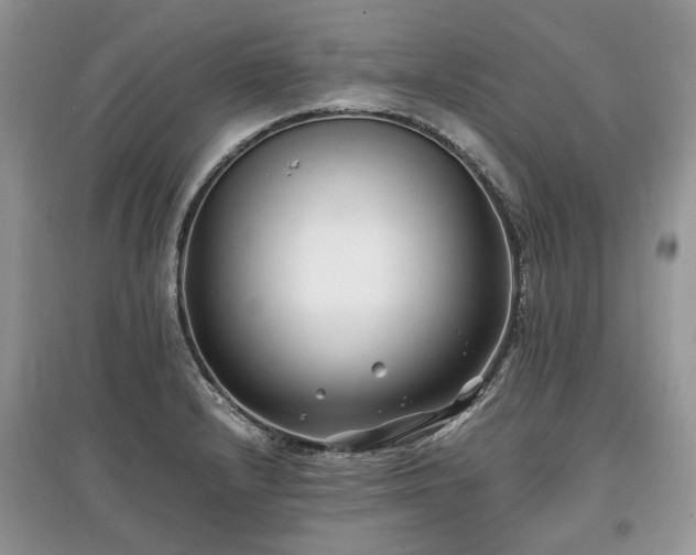 X0000097641232200803071546