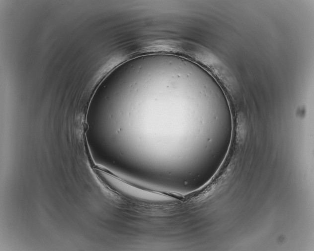 X0000097641233200803071546