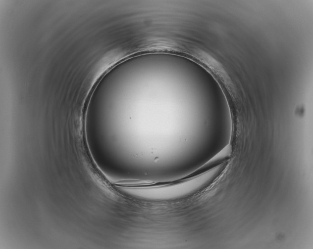 X0000097641234200803071546