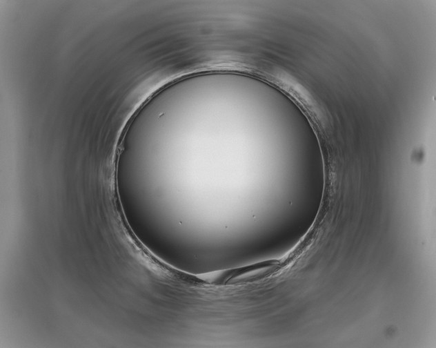 X0000097641236200803071546