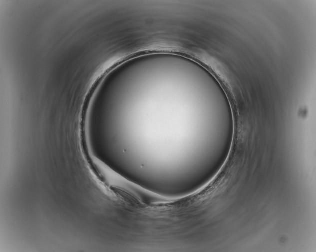 X0000097641237200803071546