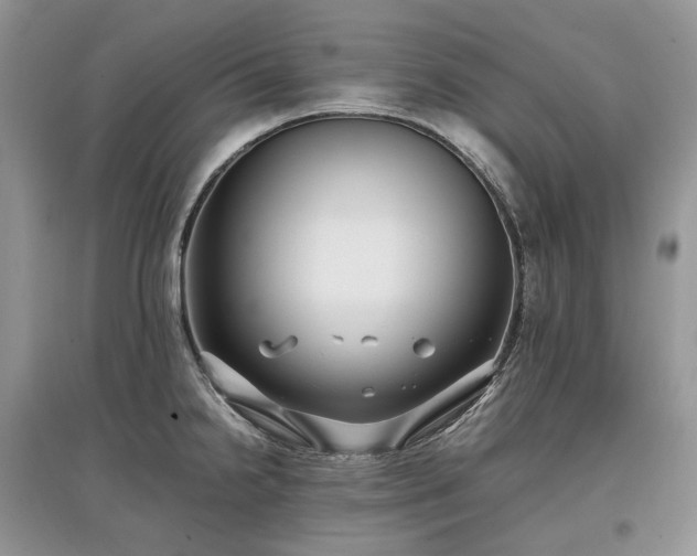 X0000097641238200803071546