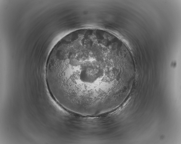 X0000097641239200803071546