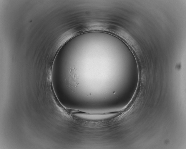 X0000097641241200803071546