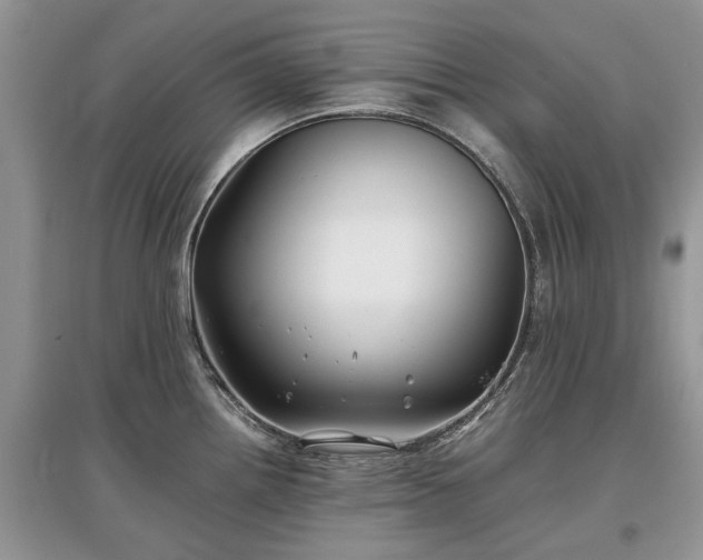 X0000097641242200803071546