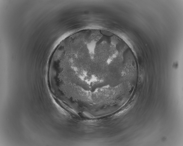 X0000097641245200803071546