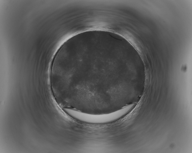 X0000097641246200803071546