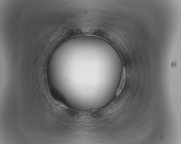 X0000097641249200803071545