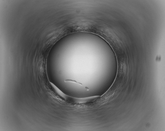 X0000097641250200803071545